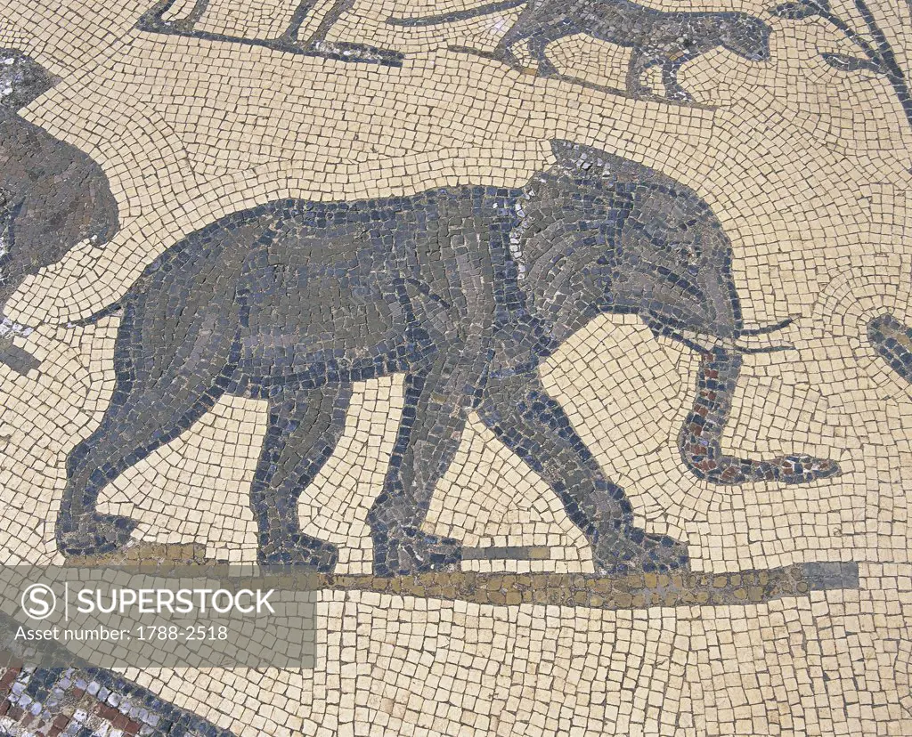 Morocco - Meknes-El Menzeh - 3rd century A.D. Ancient city of Volubilis, settled by Romans since 1st century A.D. (UNESCO World Heritage List, 1997). House of Orpheus, Orpheus surrounded by animals, detail of an elephant. Mosaic
