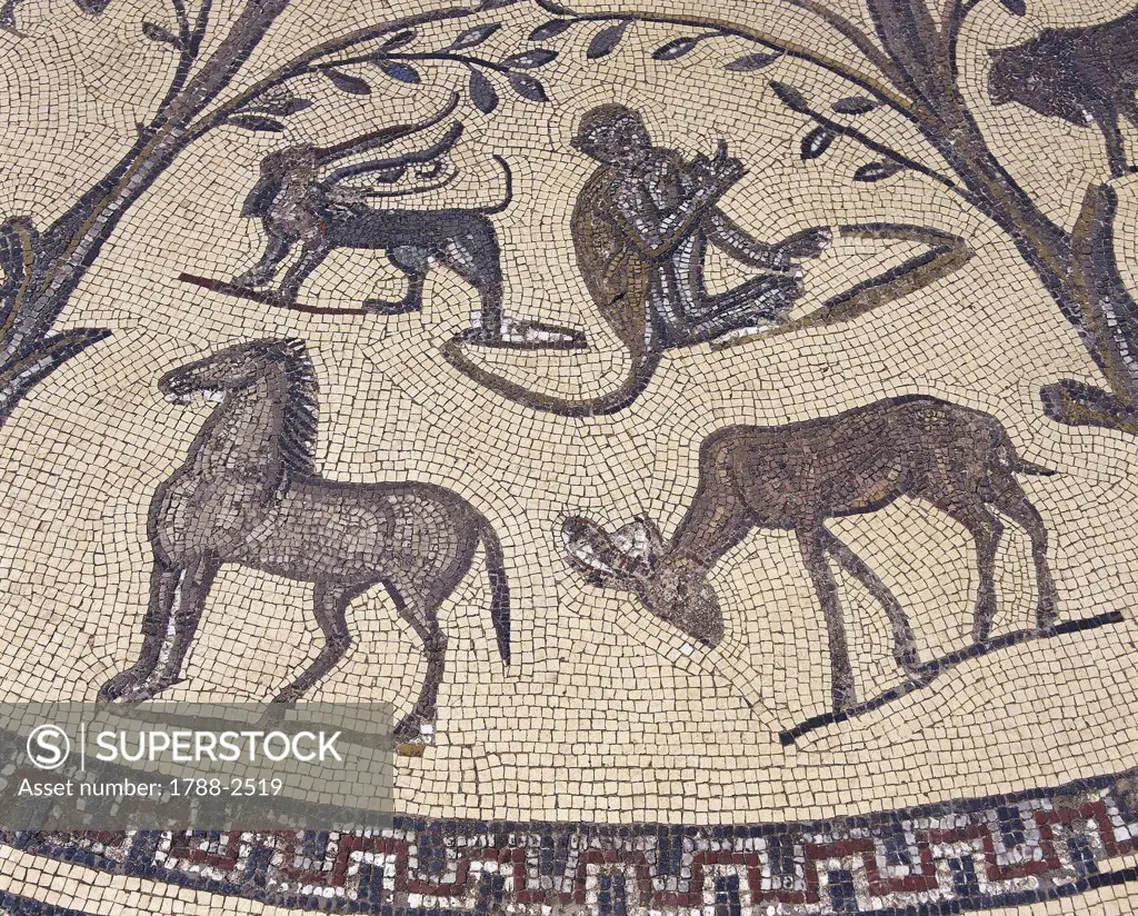 Morocco - Meknes-El Menzeh - 3rd century A.D. Ancient city of Volubilis, settled by Romans since 1st century A.D. (UNESCO World Heritage List, 1997). House of Orpheus, Orpheus surrounded by animals, detail of a monkey, a horse, an antilope and a gryphon. Mosaic