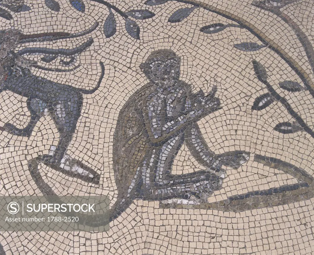 Morocco - Meknes-El Menzeh - 3rd century A.D. Ancient city of Volubilis, settled by Romans since 1st century A.D. (UNESCO World Heritage List, 1997). House of Orpheus, Orpheus surrounded by animals, detail of a monkey. Mosaic