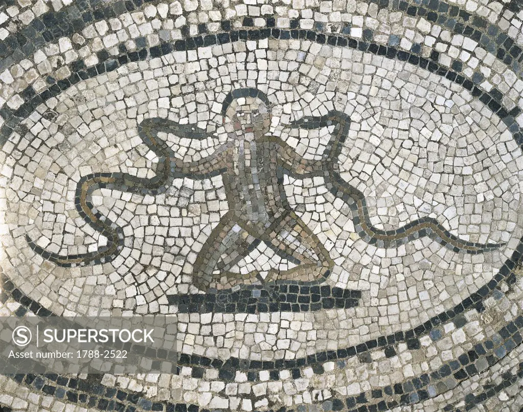 Morocco - Meknes-El Menzeh - 3rd century A.D. Ancient city of Volubilis, settled by Romans since 1st century A.D. (UNESCO World Heritage List, 1997). Labours of Hercules house, Hercules as a child strangles two snakes. Mosaic detail