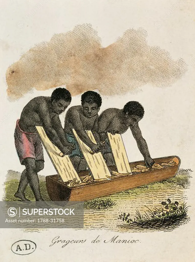 Cassava scrapers, 1820, engraving Africa, 19th Century.