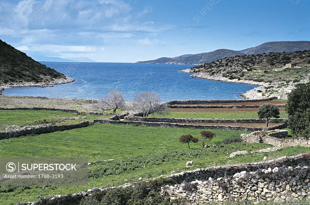 Greece - Southern Aegean - Cyclades Islands - Naxos. Naxian coast
