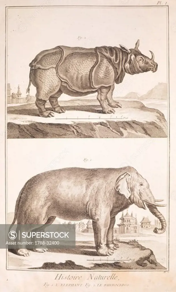 Plate showing rhinoceros and elephant. Engraving from Denis Diderot, Jean Baptiste Le Rond d'Alembert, L'Encyclopedie, 1751-1757. Entitled Histoire Naturelle, Regne animal series (Natural History, Animal Kingdom). Drawing by Martinet, engraving by Benard.