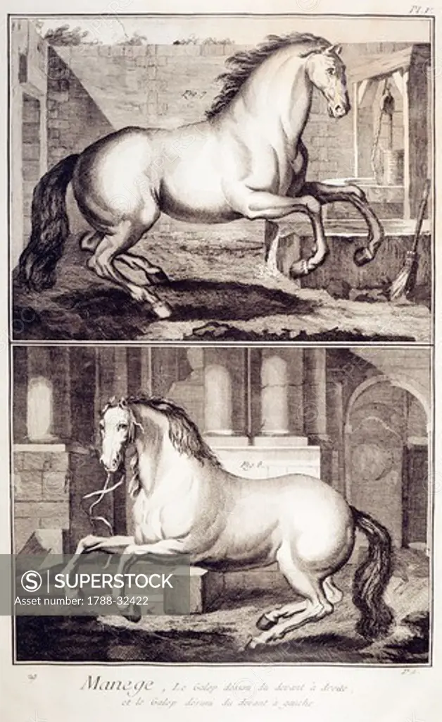 Plate showing horse training: disunited gallop of front leg on right lead and disunited gallop of front leg on left lead. Engraving from Denis Diderot, Jean Baptiste Le Rond d'Alembert, L'Encyclopedie, 1751-1757. Entitled Manege (Riding Academy).
