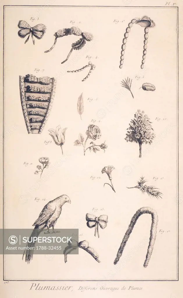Plate showing various feather creations: second series. Engraving from Denis Diderot, Jean Baptiste Le Rond d'Alembert, L'Encyclopedie, 1751-1757. Entitled Plumassier Panachier (Feather Trader).