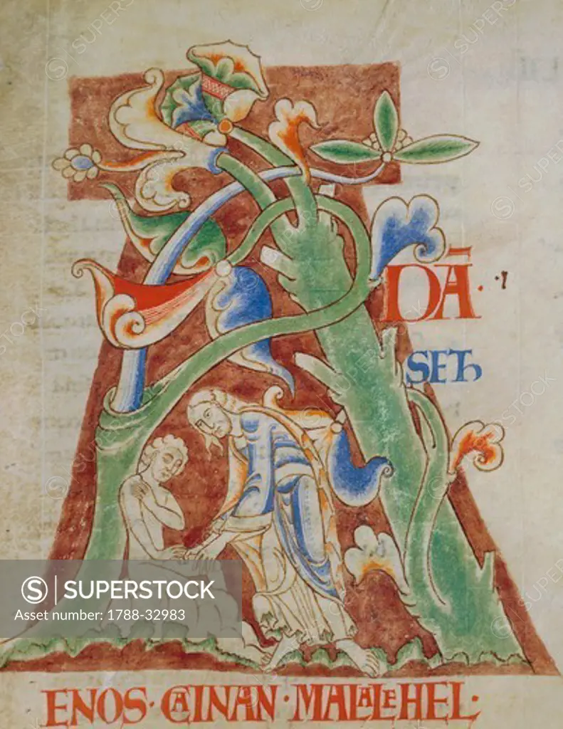 Initial capital letter A with the Creation of Adam, miniature from the Bible of Stephen Harding, manuscript 14 folio 76 recto, Citeaux, France 12th Century.