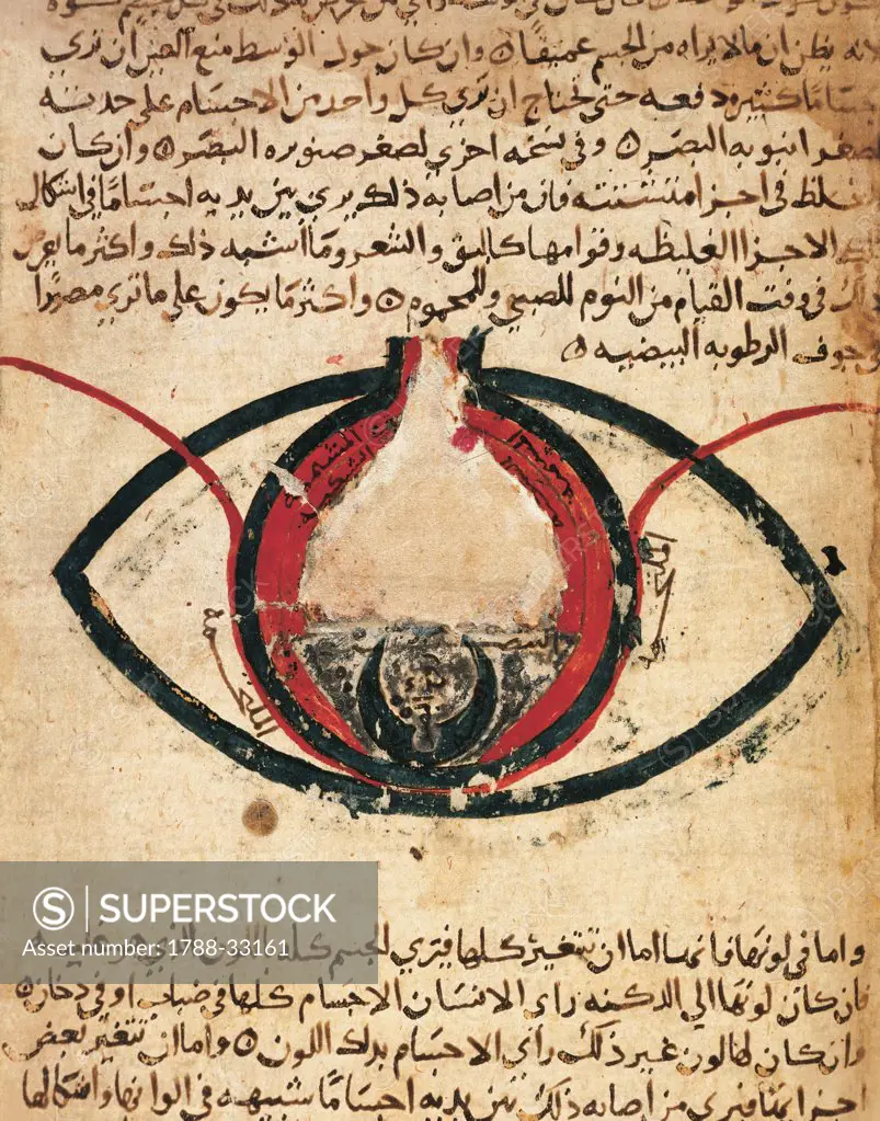Anatomy of the eye, miniature from the Treaty on the Eye by Al-Mutadibid, Arabic manuscript.