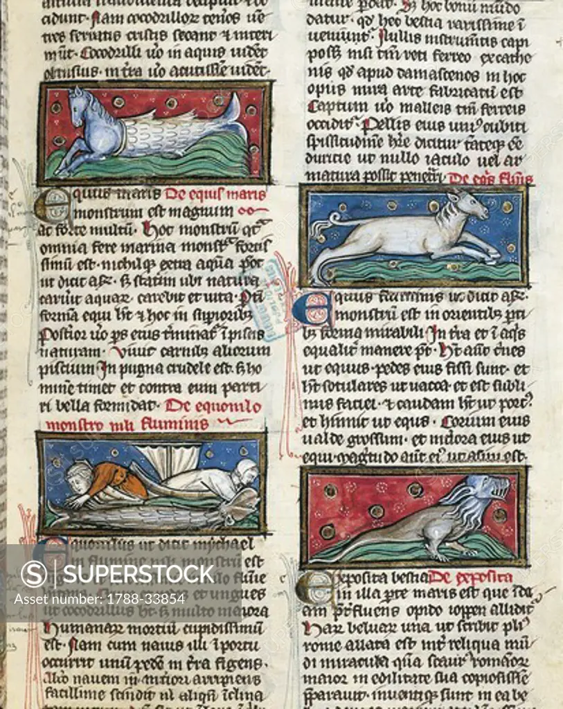 France - 13th century - Albertus Magnus, On the Nature of Things (De Natura Rerum). Illuminated manuscript from Saint-Amand Abbey. Folio 115, recto: Sea Monsters