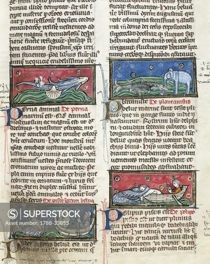 France - 13th century - Albertus Magnus, On the Nature of Things (De Natura Rerum). Illuminated manuscript from Saint-Amand Abbey. Folio 116, recto: Sea Monsters