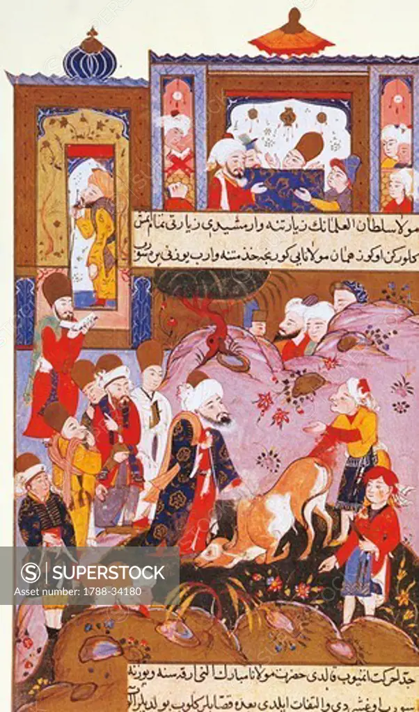A bull paying homage to Mevlana, Ottoman miniature from Mevlana Rumi's Memoirs (The Bright Stars of Legendary Life Stories) by Sevakib-I Menakib, manuscript, Turkey 16th Century.