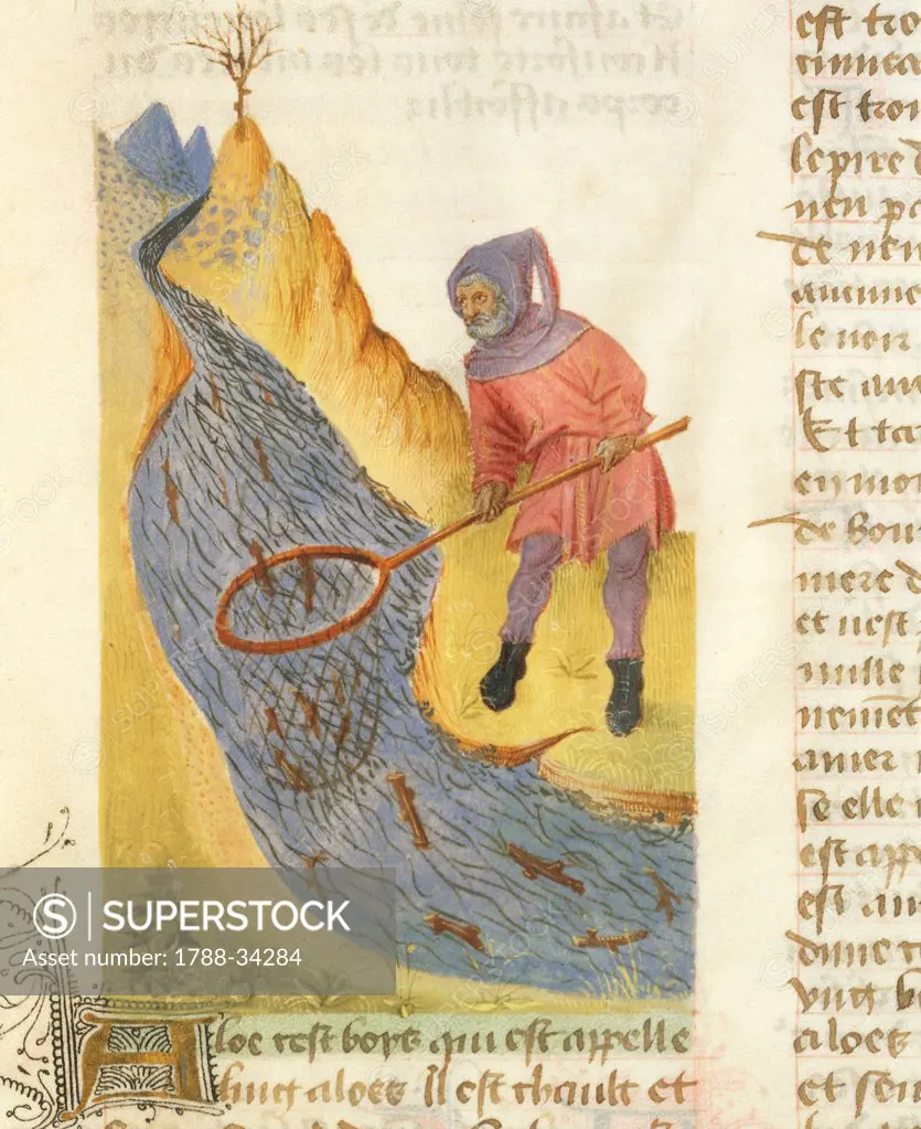 Catching fish with a net in a mountain stream, miniature from De diversis Herbis, Latin manuscript by Dioscorides e Lat 928 folio 3 r, France Late 14th Century.