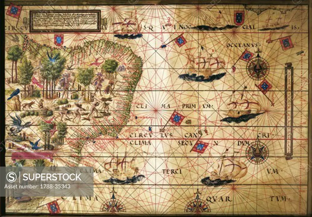 Cartography, 16th century. Map of Brazil, from Miller Atlas, by Pedro and Jorge Reinel, Lopo Homen (cartographers) and Antonio de Holanda (miniaturist), 1519.