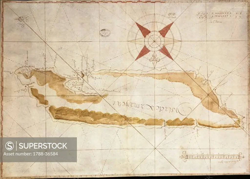 Cartography, 17th century. The island of Jamaica,1656.