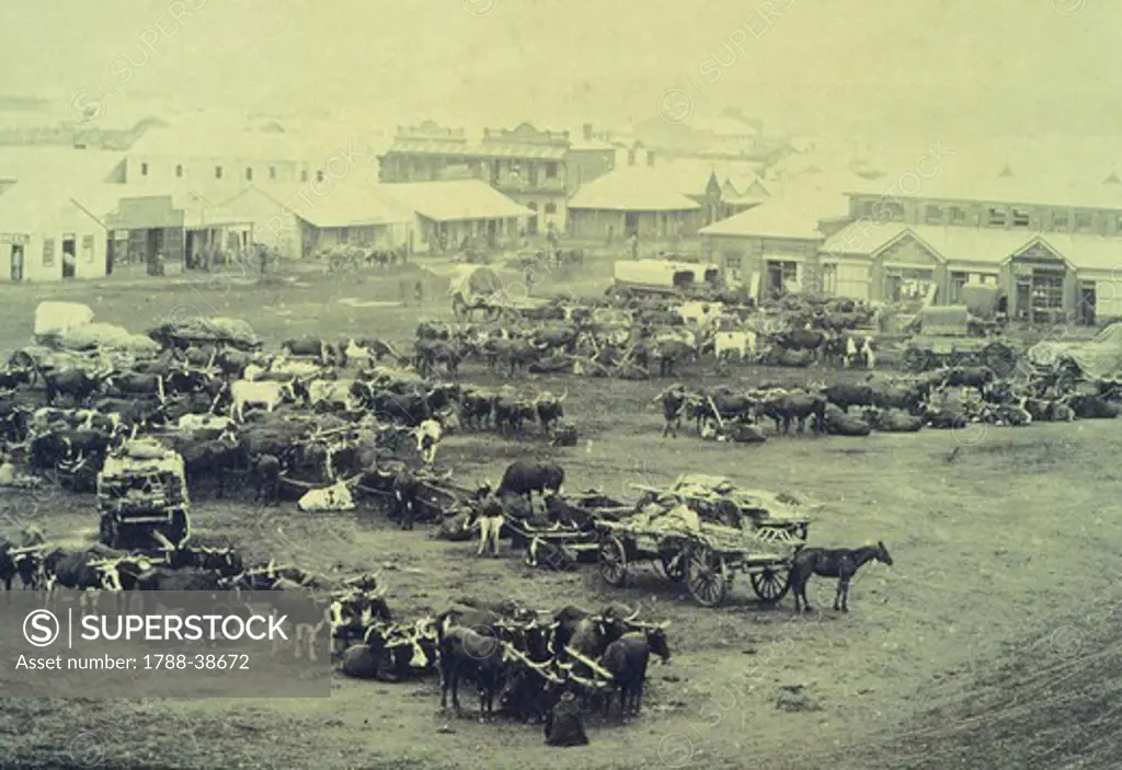 Market Square Market, 1888, Johannesburg, South Africa 19th century.