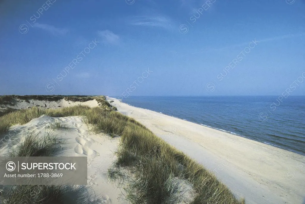Denmark - Jutland - Surroundings of Skagen, Dunes
