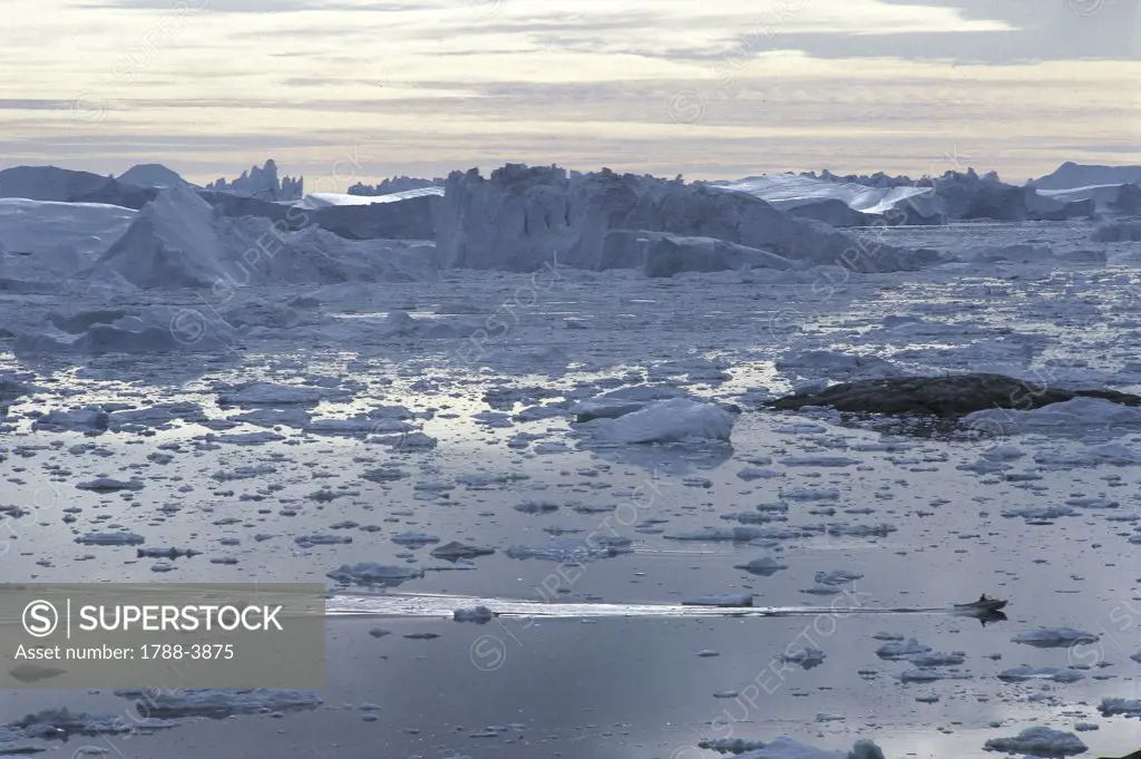Greenland - Disko Bay