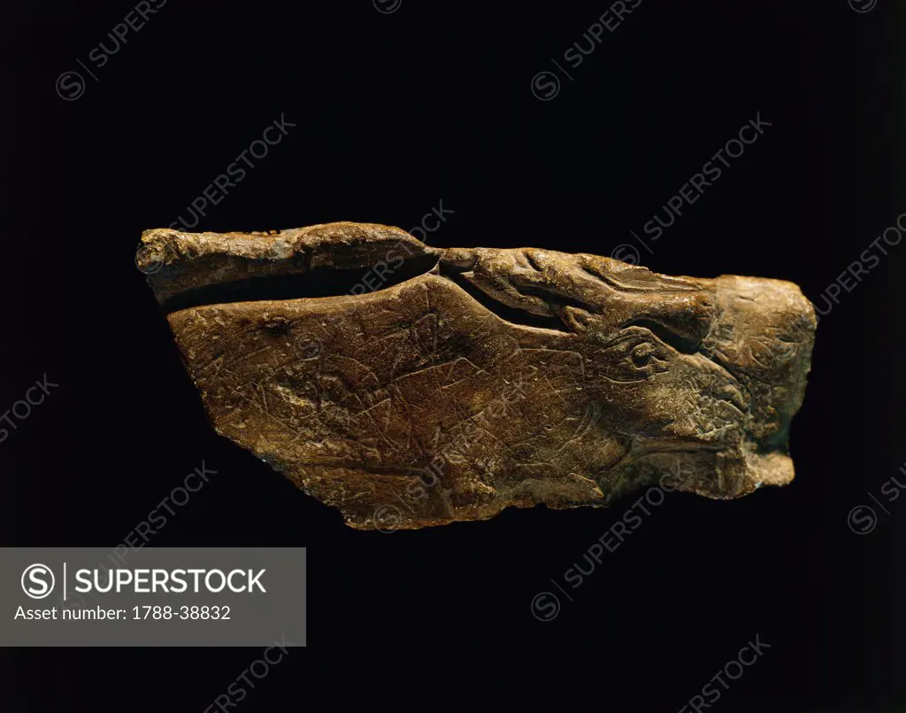 Prehistory, France, Paleolithic. Stone bas-relief depicting deer. From Isturitz.