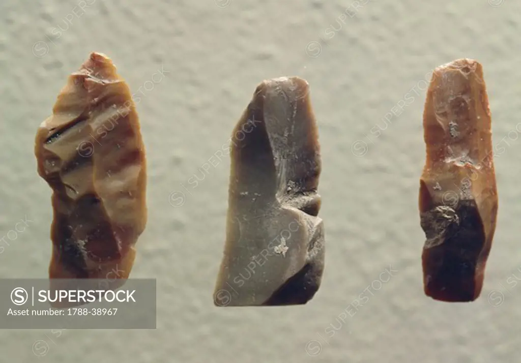 Prehistory, Italy, Paleolithic. Flint scrapers. From Marche Region.