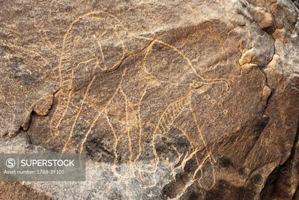 Algeria - Sahara desert - Tassili-n-Ajjer National Park (UNESCO World Heritage List, 1982). Rock carving depicting an elephant.