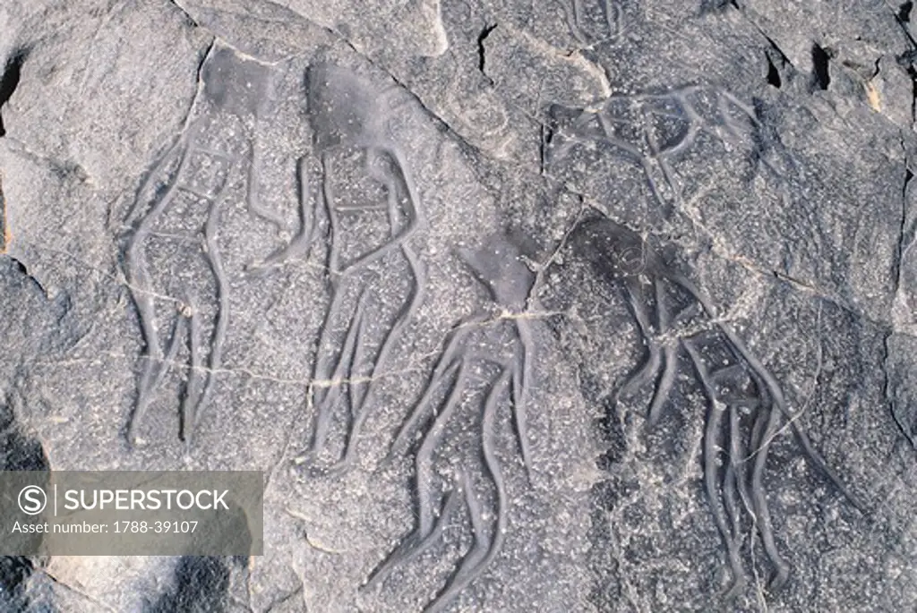 Algeria - Sahara desert - Tassili-n-Ajjer National Park (UNESCO World Heritage List, 1982). Rock carvings