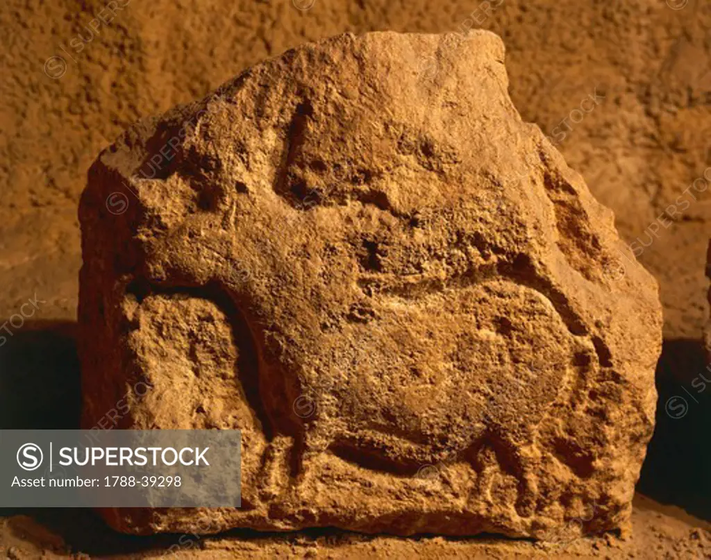Prehistory, France, Paleolithic. Zoomorphic relief depicting an ox. From Roc de Sers.