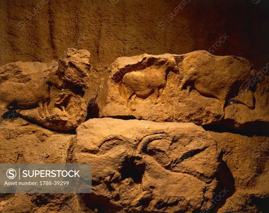 Prehistory, France, Paleolithic. Zoomorphic reliefs. From Roc de Sers.