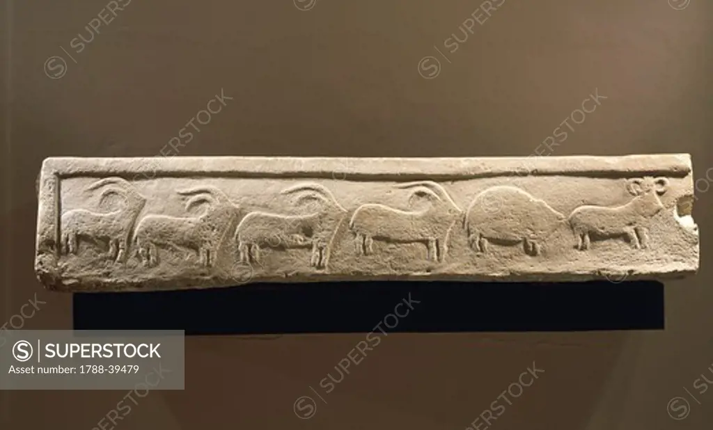 Prehistory, Malta, Neolithic. Zoomorphic relief depicting a procession of animals. From Tarxien megalithic temple.