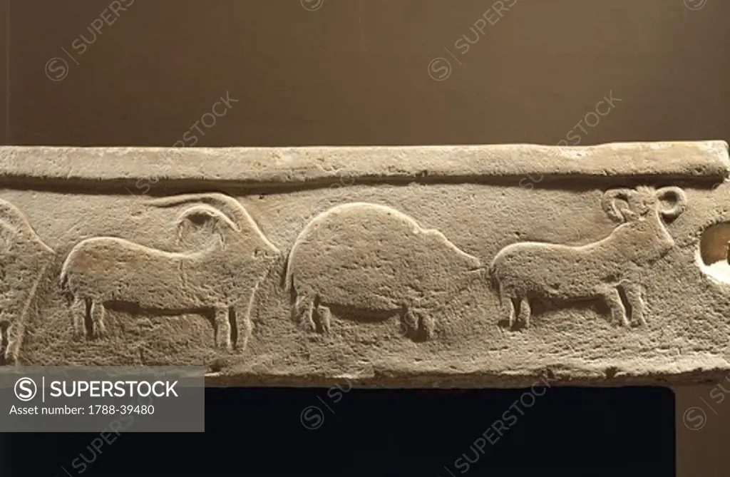 Prehistory, Malta, Neolithic. Detail of a zoomorphic relief depicting a procession of animals. From Tarxien megalithic temple.
