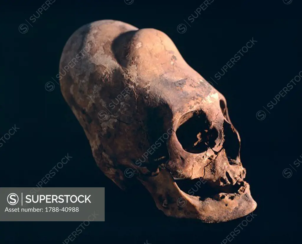 Indian skull showing a typical deformation, artefact from the Necropolis in Paracas (Peru). Pre-Inca Paracas Civilization, ca 10th Century BC.