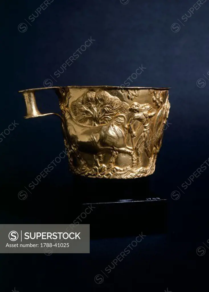 Decorated gold cup relief depicting bull taming, from the Tholos Tomb of Vaphio of Sparta (Greece). Goldsmith art, Mycenaean Civilization, 16th-15th Century BC.