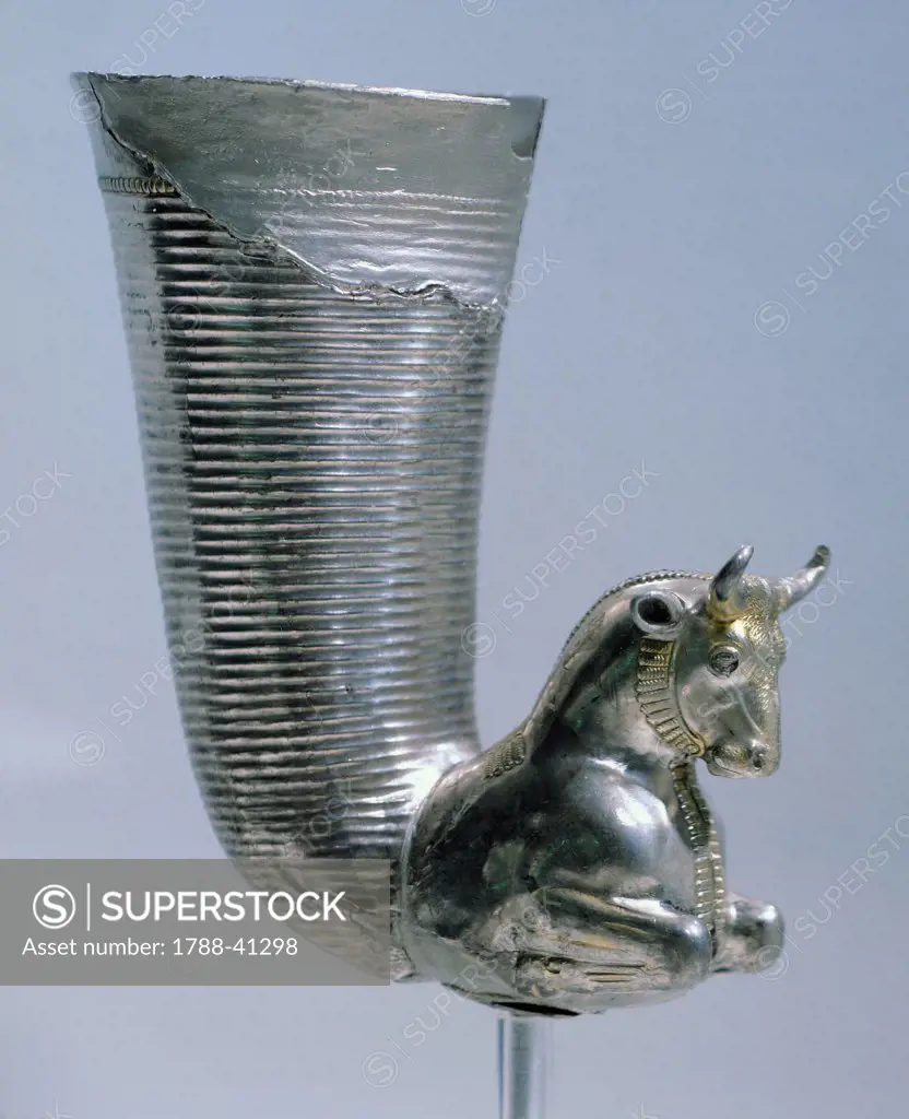 Silver rhyton with a protome in the shape of a bull and the main body decorated with horizontal grooves, from the Borovo Treasure, Ruse Region, Bulgaria. Goldsmith art. Thracian Civilization, 4th Century BC.