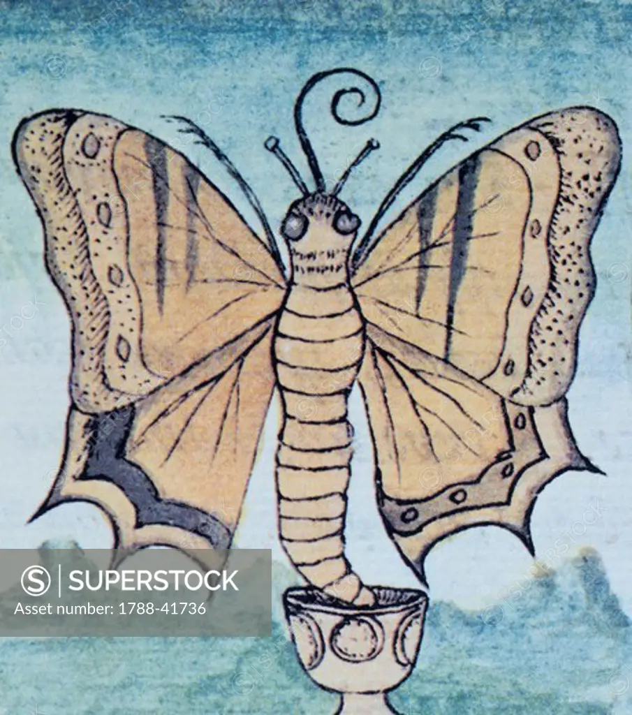Artwork depicting a butterfly, from a copy of the Code of Florence, General History of the Things of New Spain by Fra Bernardino de Sahagun, Manuscript in Spanish and Nahuati, mid-16th Century.