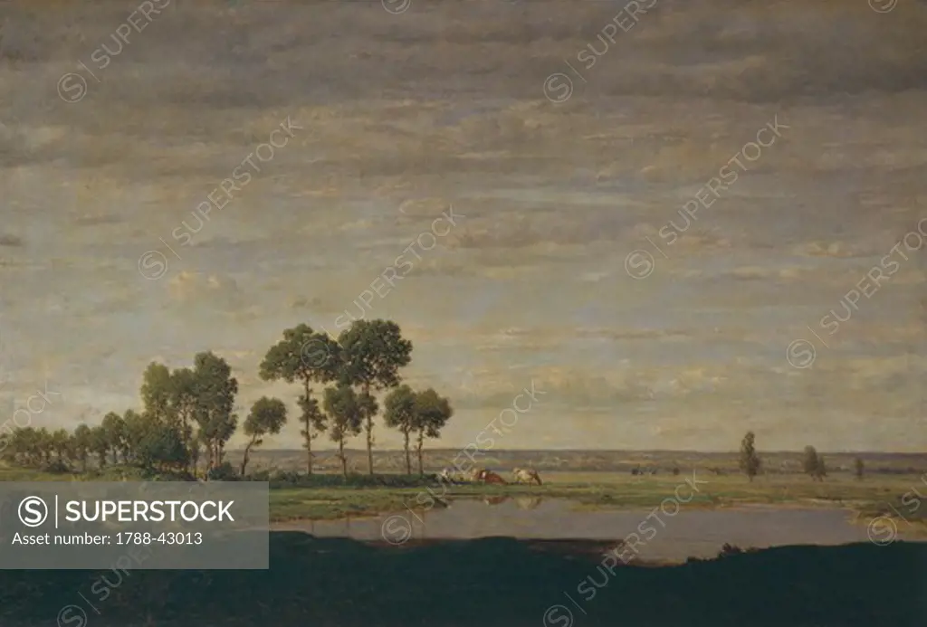 The spring, the pond, 1852, by Theodore Rousseau (1812-1867), oil on canvas, 41x63 cm.