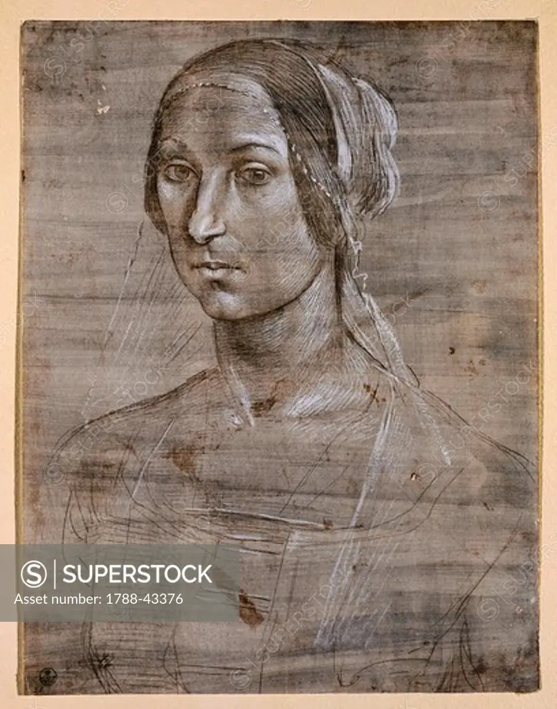 Head of a Woman, by Domenico Ghirlandaio (1449-1494), drawing.