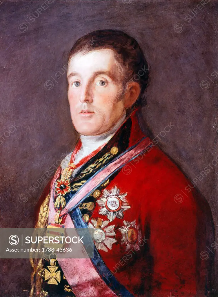 The Duke of Wellington, 1812-1814, by Francisco de Goya (1746-1828).