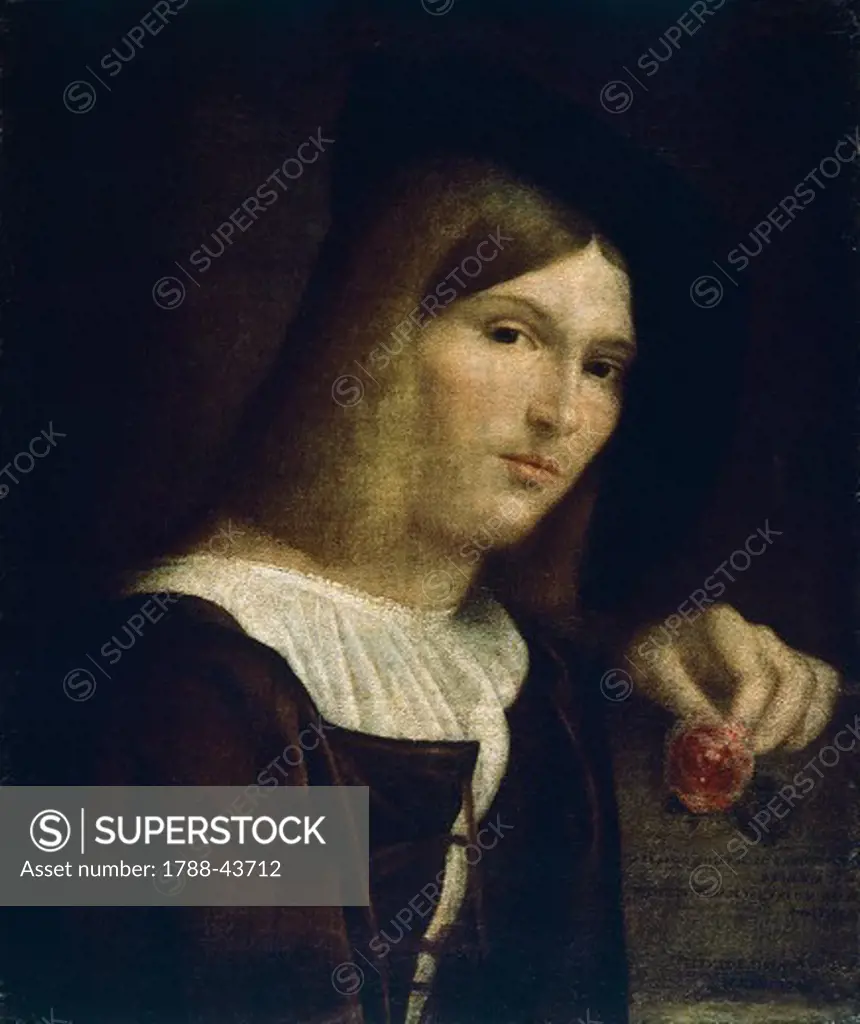 Portrait of young man with a rose, by Francesco Torbido (ca 1482-ca 1562).