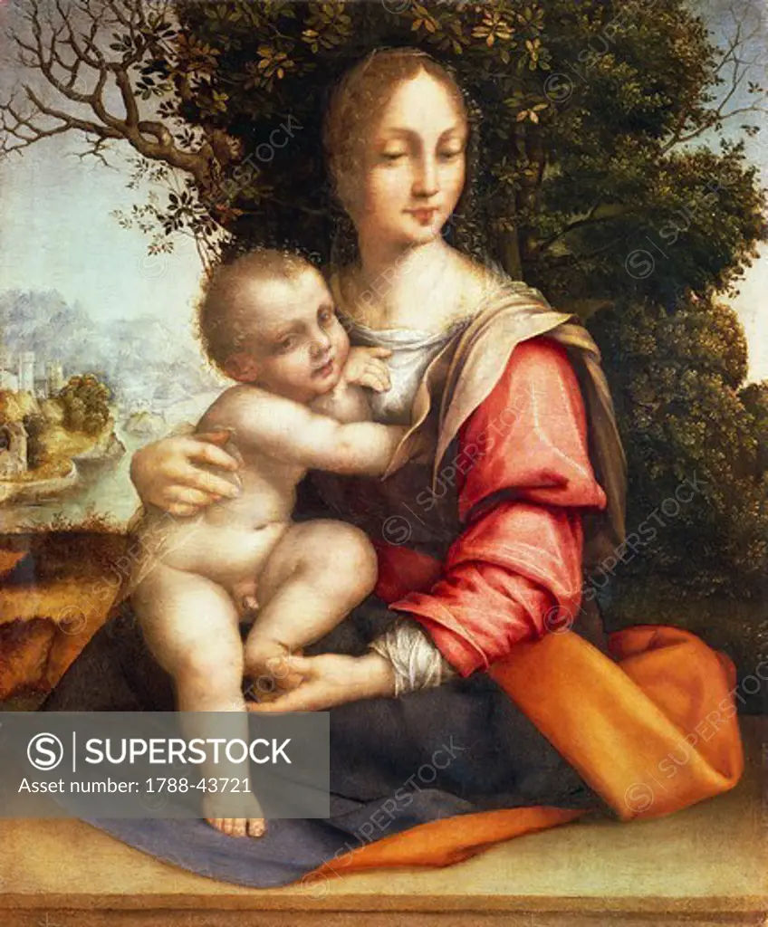 Madonna and Child or Madonna with the tree, by Cesare da Sesto (1477-1523), oil on panel, 46x36 cm.