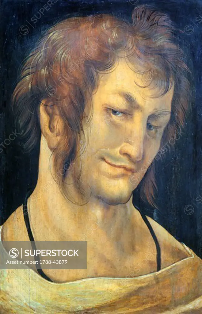 Portrait of a young man, by Hans Schaeufelein the Elder (ca 1482-1539 or 1540)