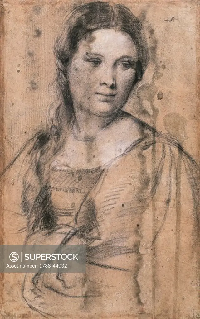 Portrait of a young girl, by Titian (ca 1490-1576), drawing.