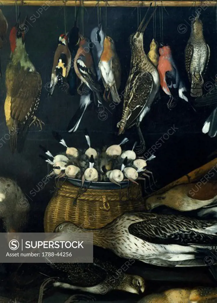Still Life with Birds, 1590-1610, by the Master of the Hartford, oil on canvas.