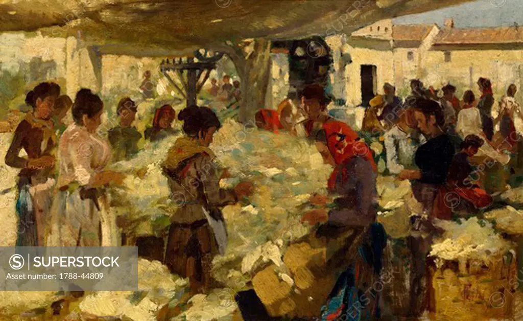 The wool seller, 1890, by Francesco Gioli (1846-1922).