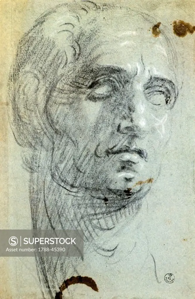 Male head, by Jacopo Robusti known as Tintoretto (1518-1594), drawing.