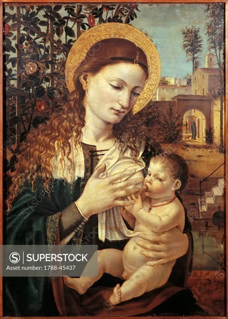 Madonna breastfeeding the Baby Jesus, ca 1485, by Ambrose Bergognone (ca 1460-1523). Oil on panel, 61x44 cm.
