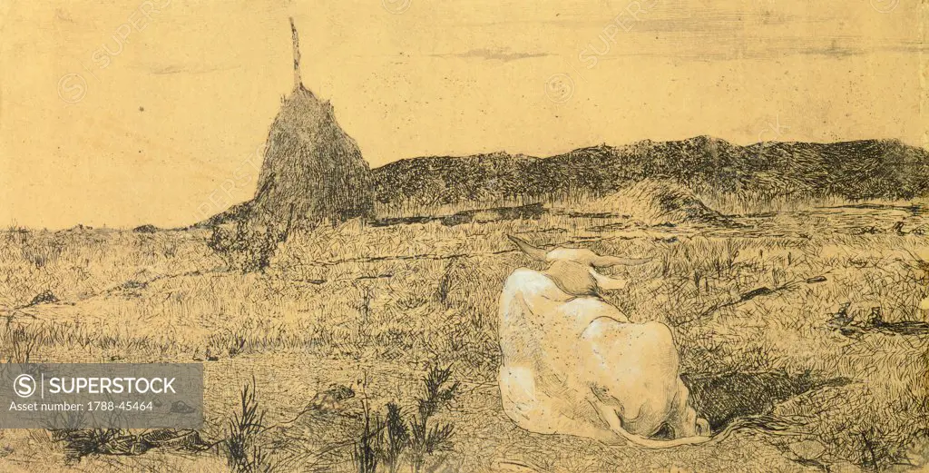 Pio Bove (Pious or Peaceful Ox), Giovanni Fattori (1825-1908), etching.