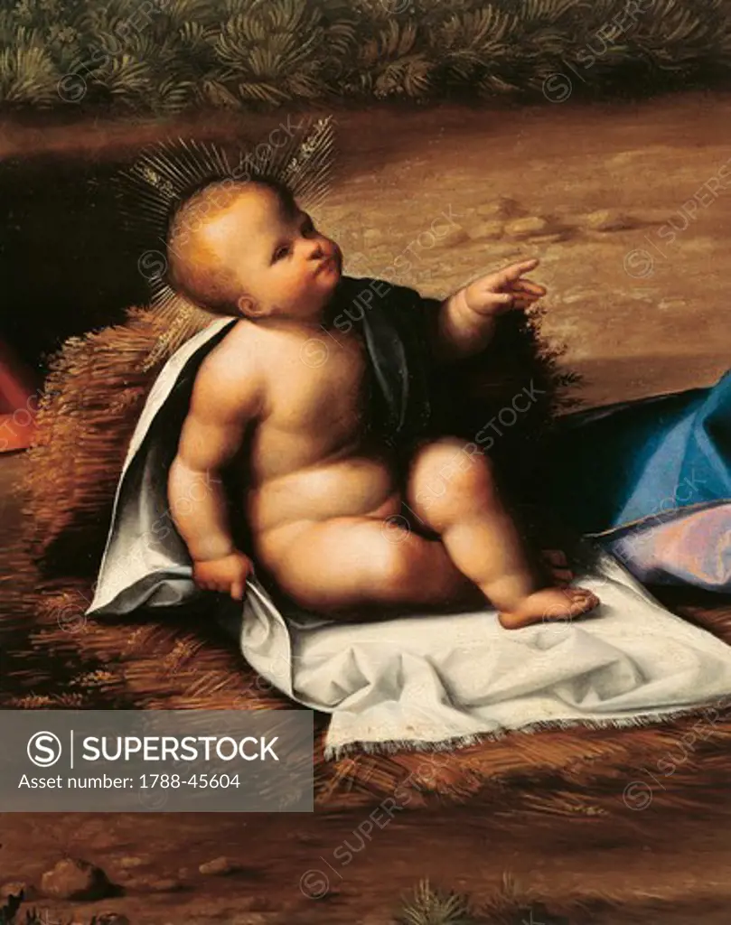 Baby Jesus, detail from the Nativity, by Garofalo (1481-1559).