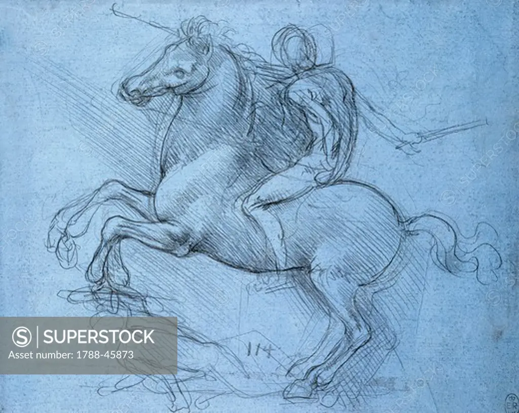 Rearing horse, study for an equestrian monument for Francesco Sforza, 1490, by Leonardo da Vinci (1452-1519), metal point on prepared paper, 15.1x18.8 cm.