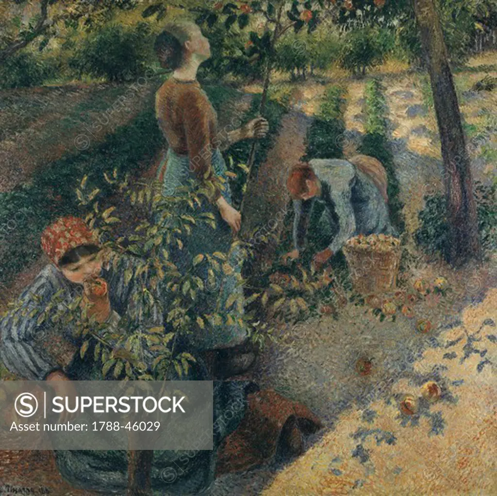 Apple picking (Cueillette des pommes), by Camille Pissarro (1830-1903).