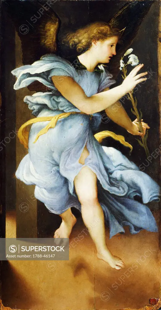 Announcing Angel, ca 1525, by Lorenzo Lotto (1480 ca- 1556), oil on panel, 82x42 cm.