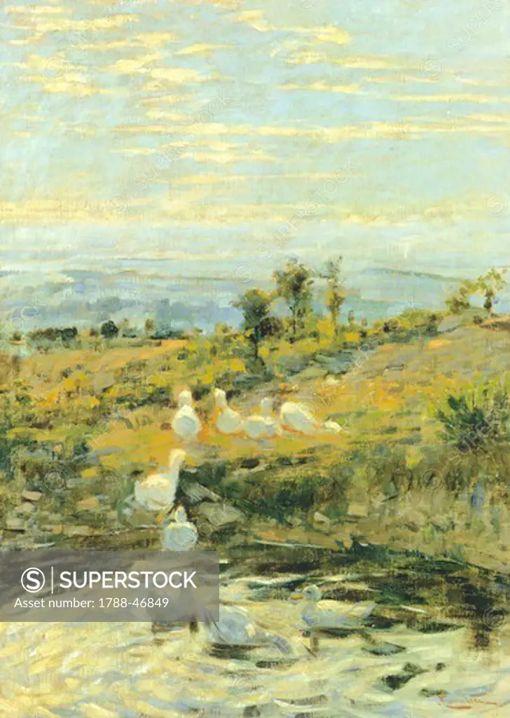 Ducks in the morning, ca 1892, by Niccolo Cannicci (1846-1906). Oil on canvas, 57.5x40.5 cm.