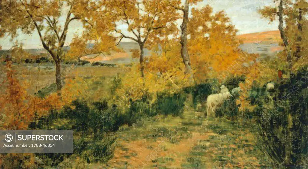 Golden Forest in Montemiccioli, 1891, by Niccol÷ Cannicci (1846-1906), oil on canvas, 40x72 cm.